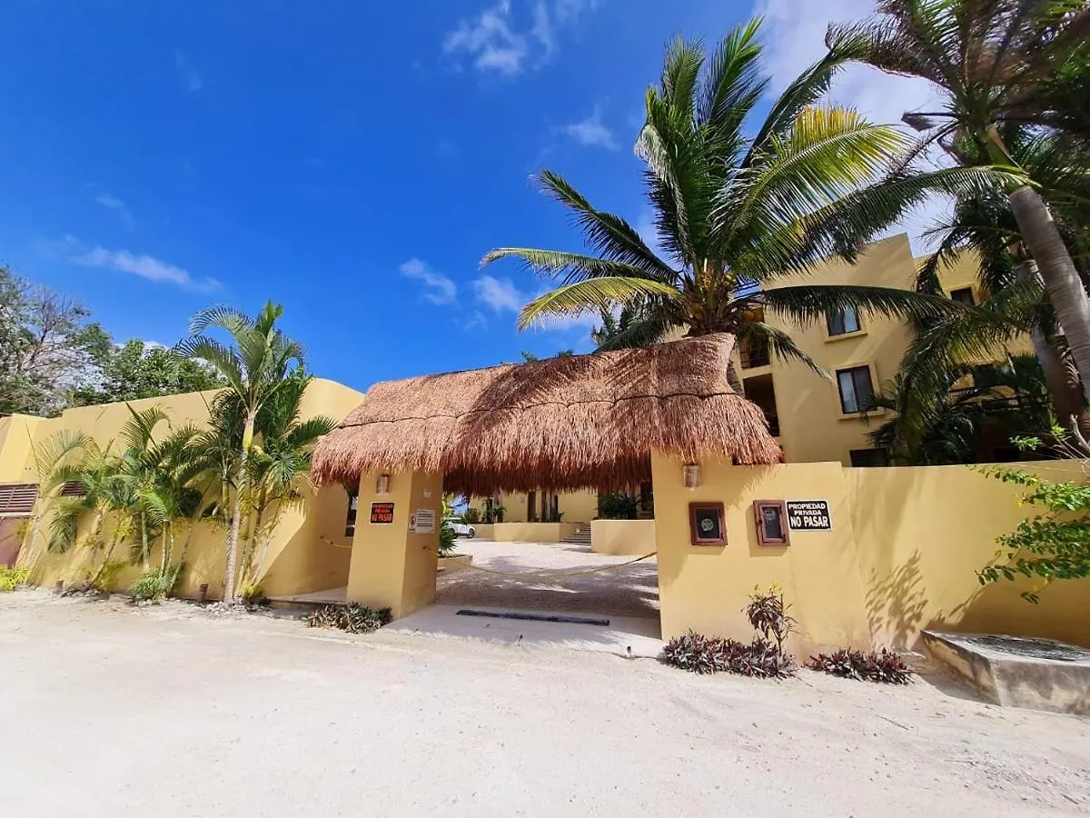 Stylish Oceanfront Condo With Pool Mahahual 0*,