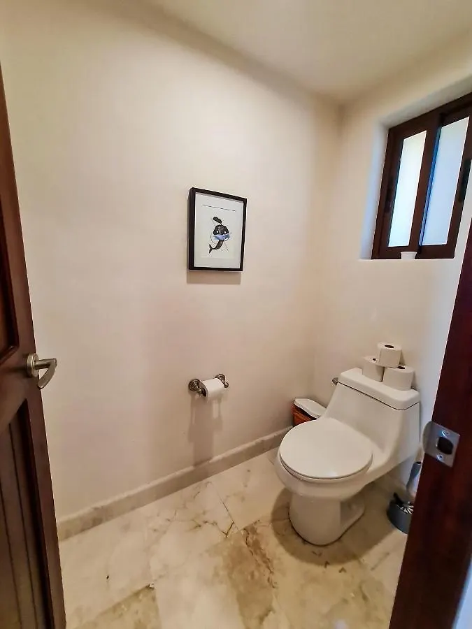 Apartment Stylish Oceanfront Condo With Pool Mahahual