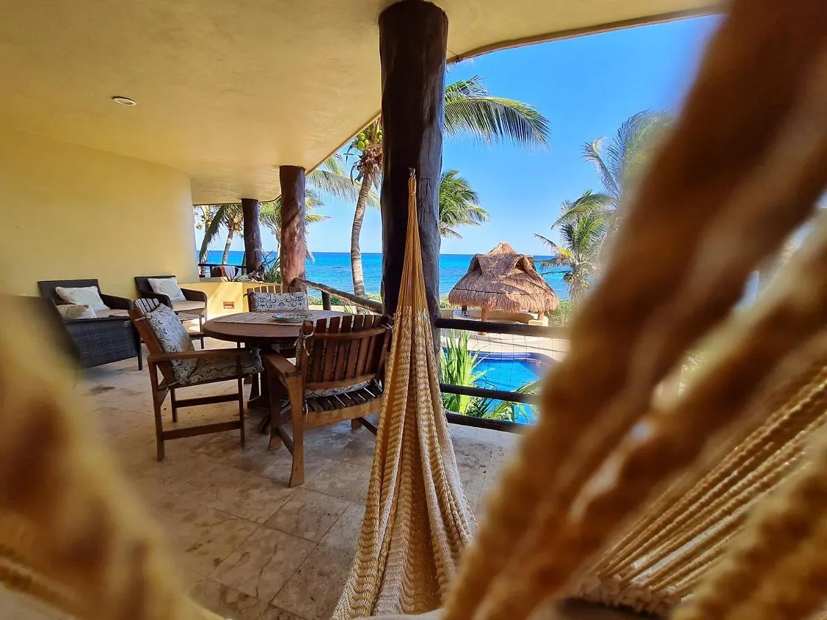 Stylish Oceanfront Condo With Pool Mahahual Apartment