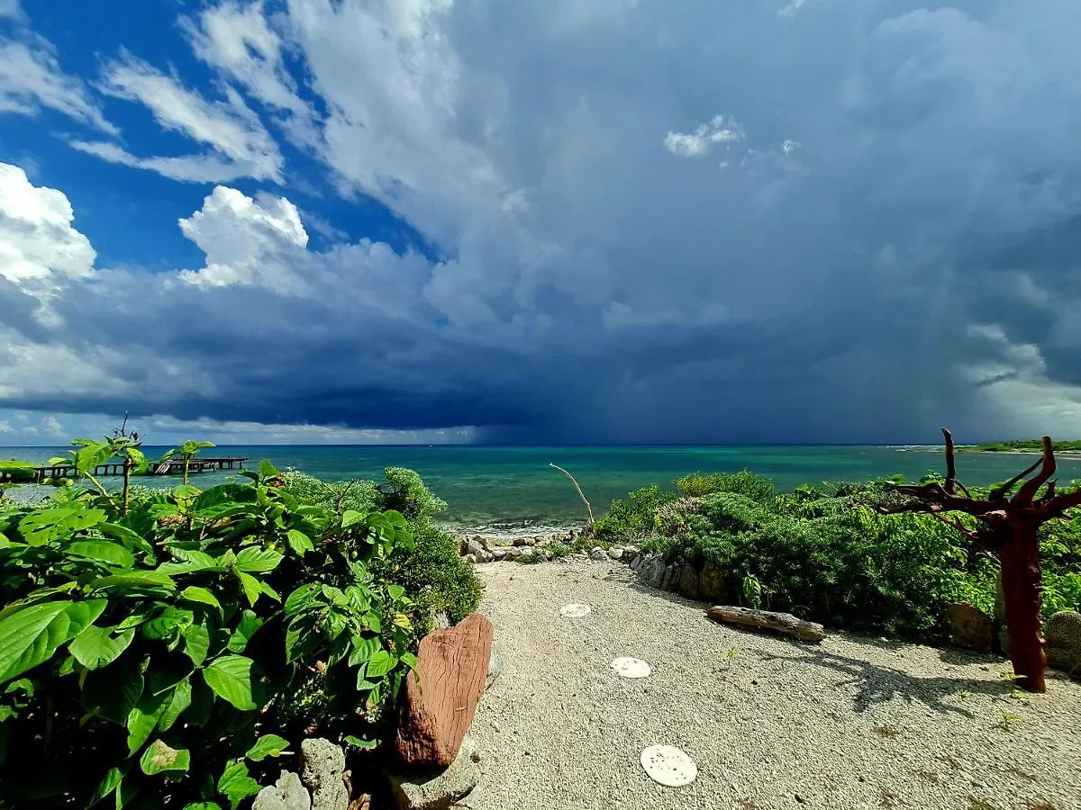Stylish Oceanfront Condo With Pool Mahahual