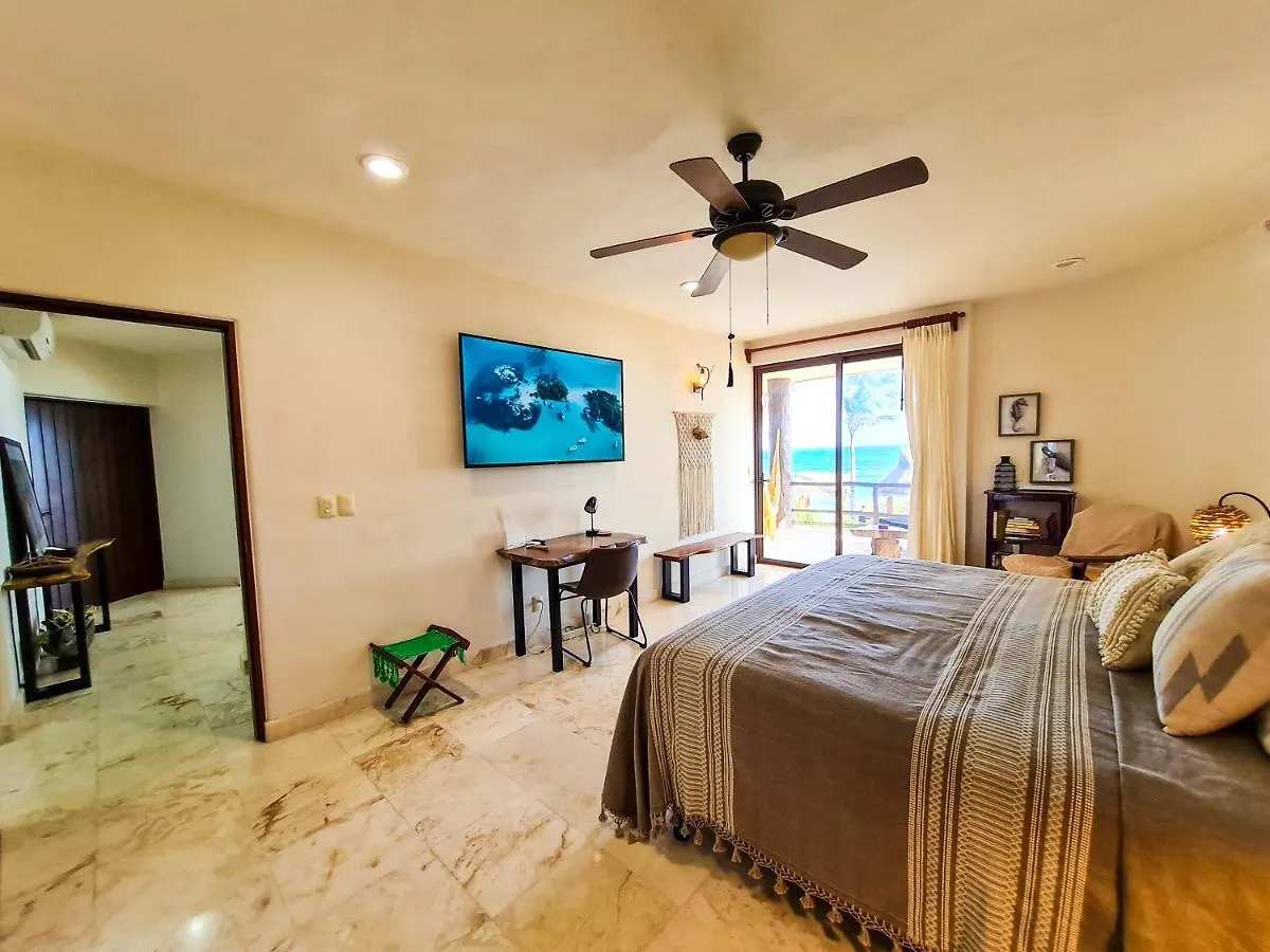 Stylish Oceanfront Condo With Pool Mahahual 0*,