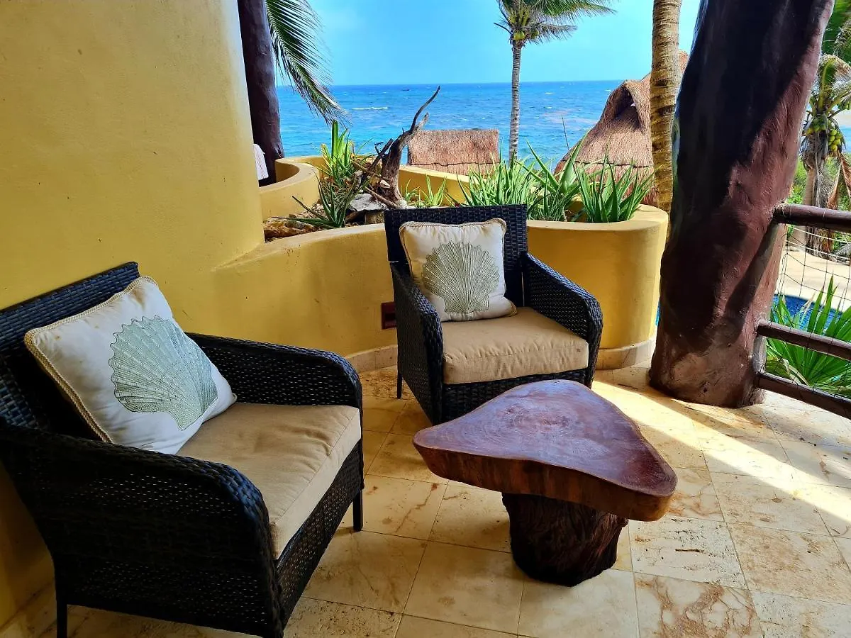 Stylish Oceanfront Condo With Pool Mahahual Apartment