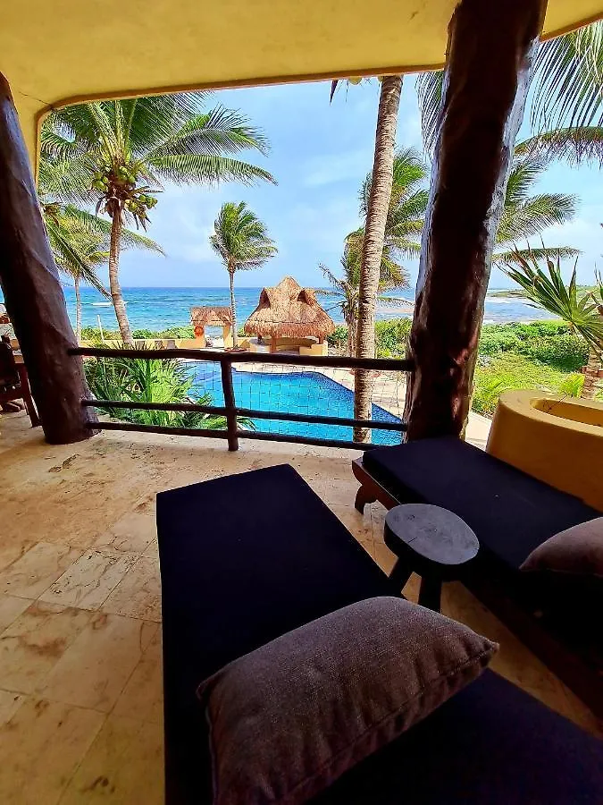 Apartment Stylish Oceanfront Condo With Pool Mahahual