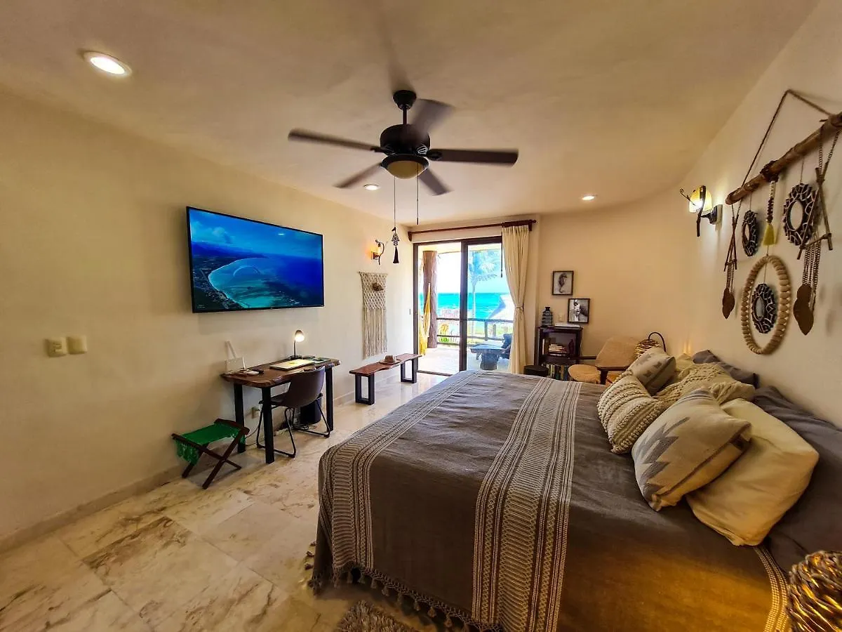 Stylish Oceanfront Condo With Pool Mahahual Apartment