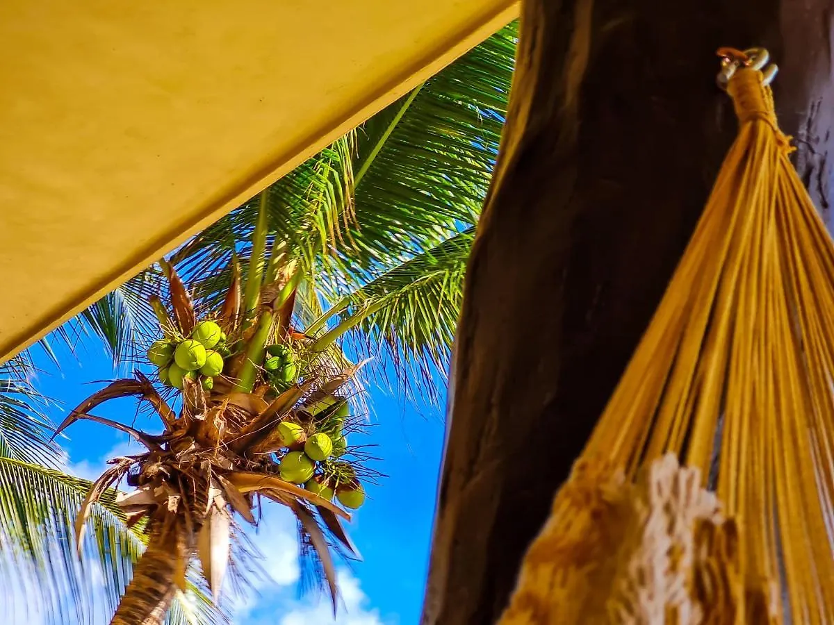 Apartment Stylish Oceanfront Condo With Pool Mahahual Mexico