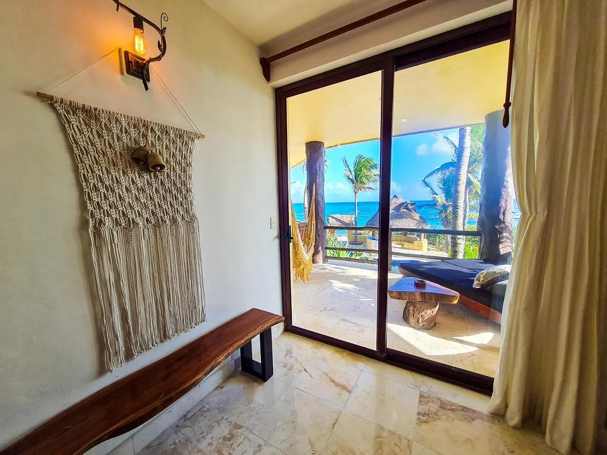 Stylish Oceanfront Condo With Pool Mahahual Mexico