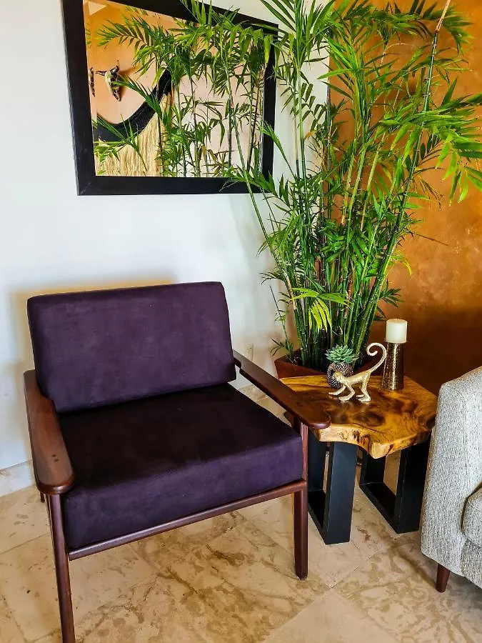 Stylish Oceanfront Condo With Pool Mahahual Apartment