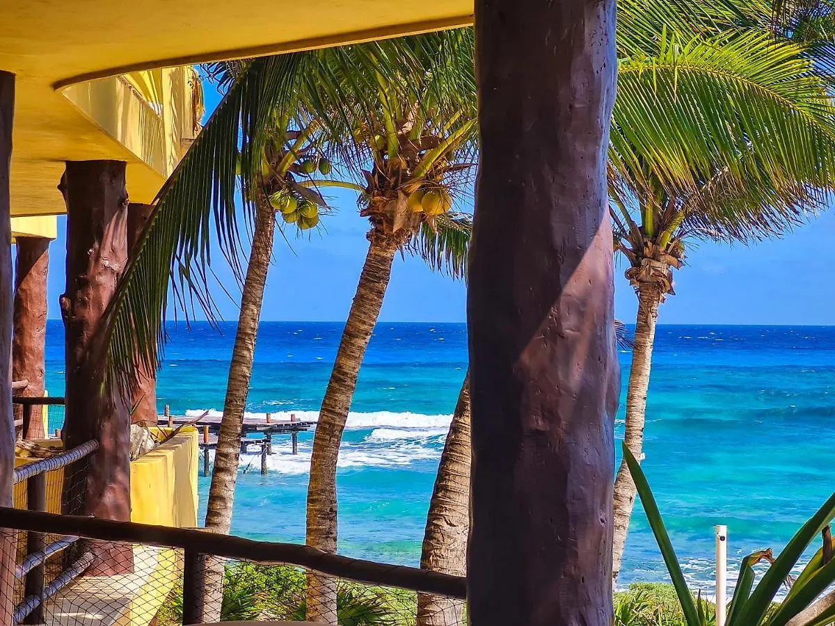 Stylish Oceanfront Condo With Pool Mahahual
