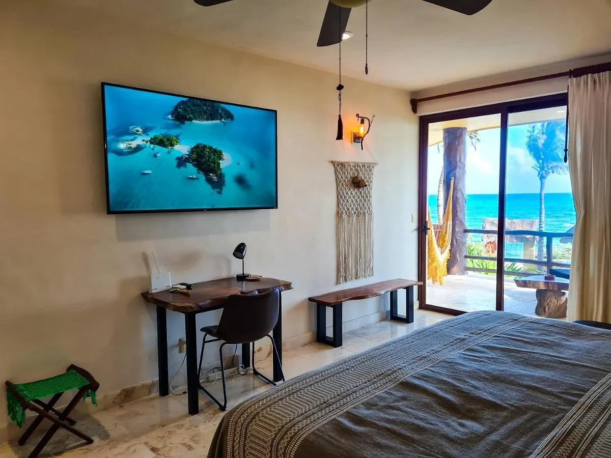 Stylish Oceanfront Condo With Pool Mahahual 0*,