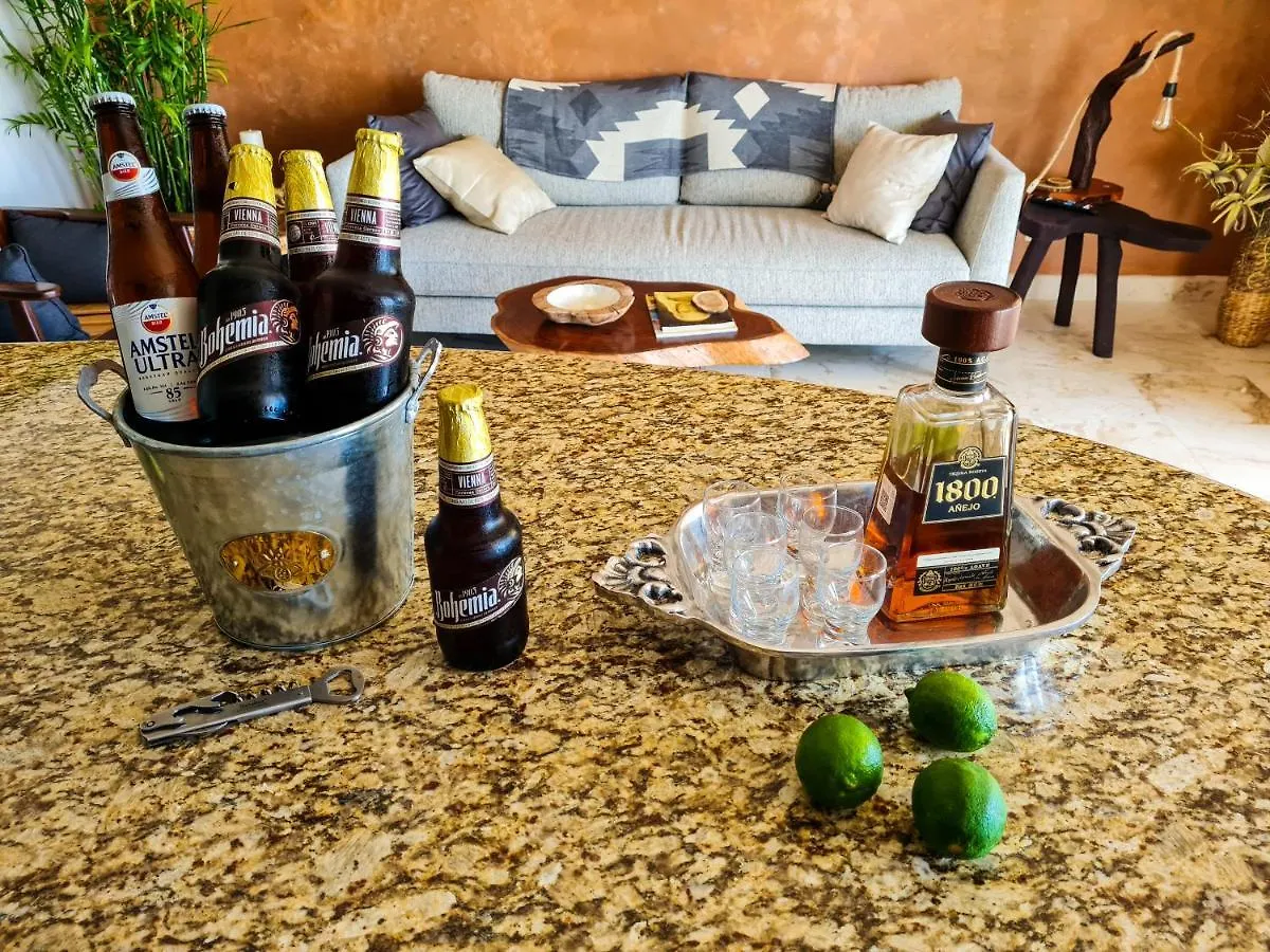 Apartment Stylish Oceanfront Condo With Pool Mahahual Mexico