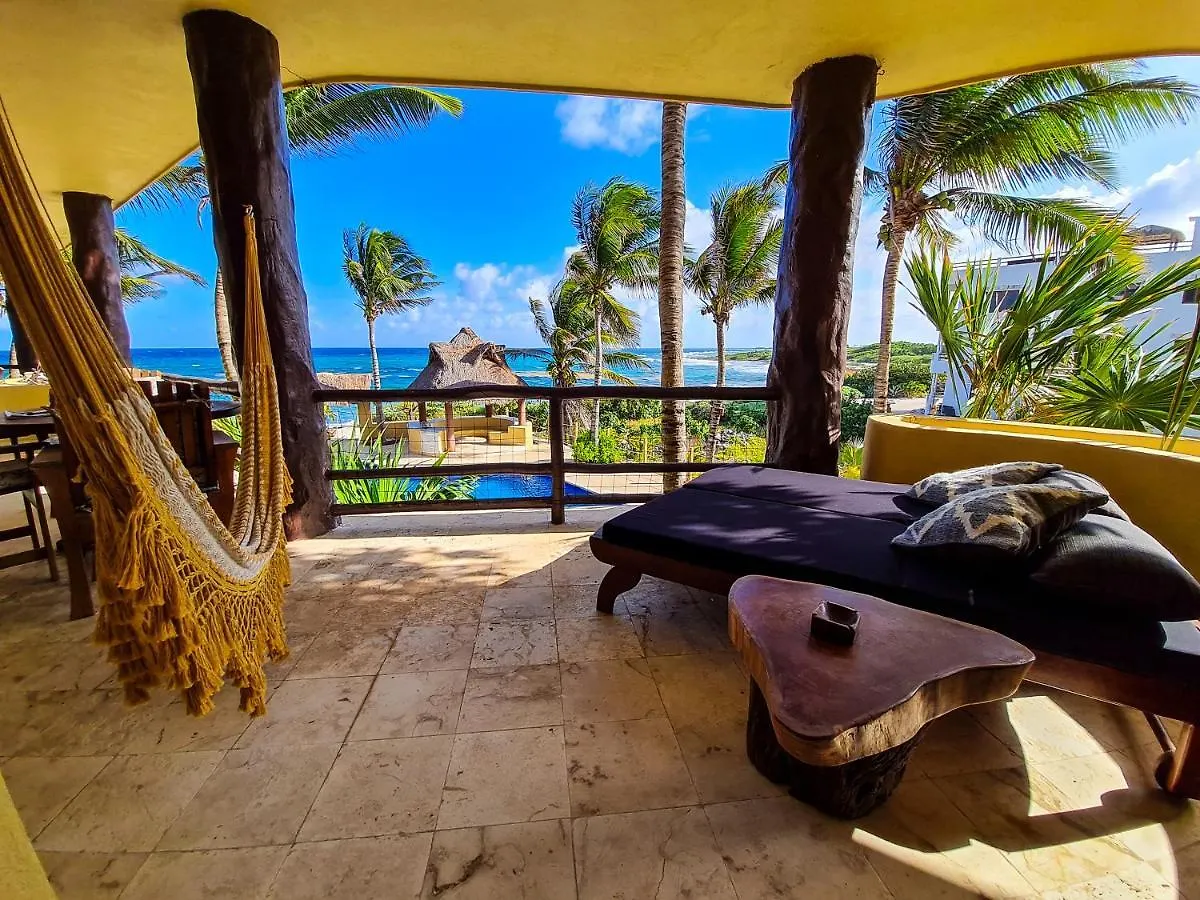 Apartment Stylish Oceanfront Condo With Pool Mahahual