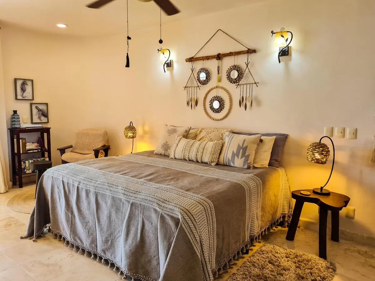 Apartment Stylish Oceanfront Condo With Pool Mahahual