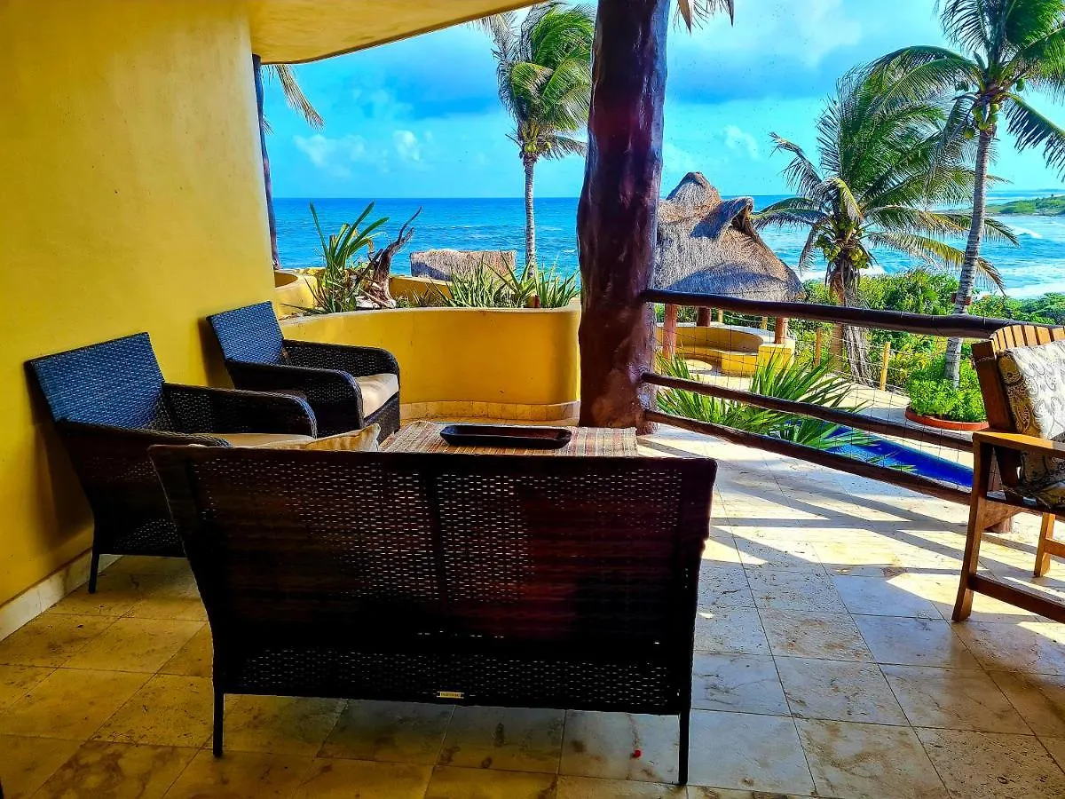 Stylish Oceanfront Condo With Pool Mahahual Apartment